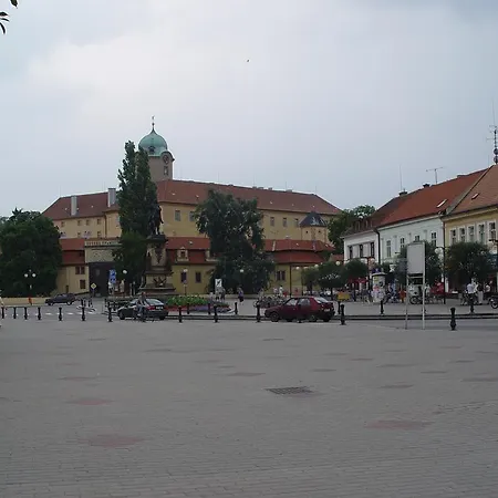 بيت ضيافة Kral Jiri Poděbrady